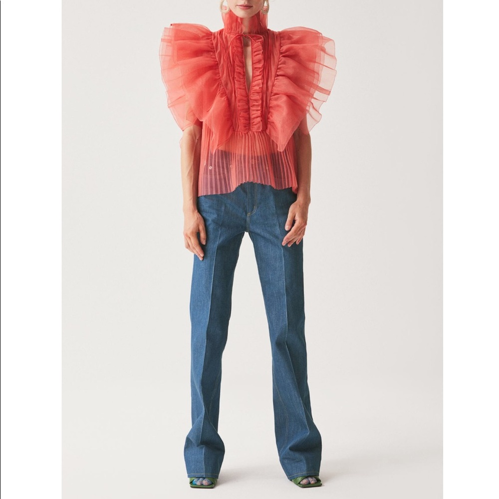 ISO in search of H&M Studio Collection Jeans 4